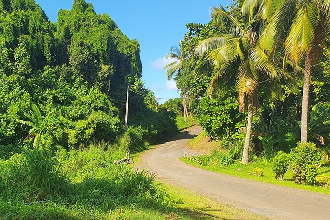 'Discover' Rarotonga Cycling Tour with Lunch - Bicycles, Helmets, and the Stuff You Should Bring