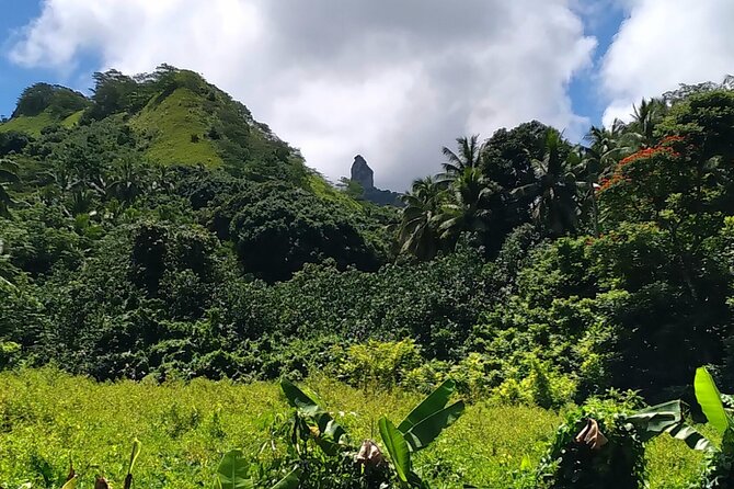 'Discover' Rarotonga Cycling Tour with Lunch - Weather Can Change the Ride Plan (So Build in Flexibility)