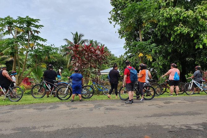 'Discover' Rarotonga Cycling Tour with Lunch - Who This Tour Suits Best on Rarotonga