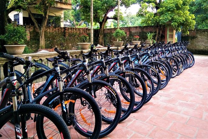 Discover Trang An Natural World Heritage, Bich Dong Pagoda, Cycling Day Tour - The real draw: getting Trang An from land and water