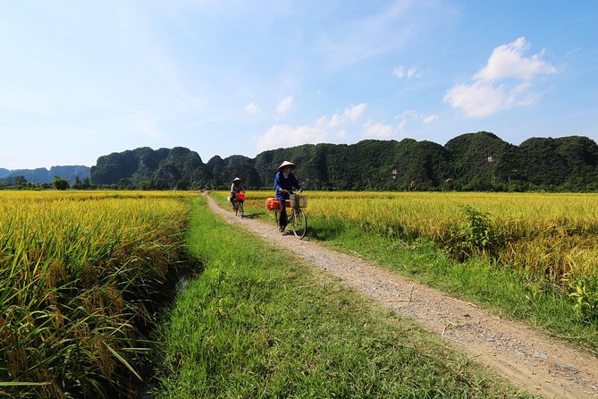 Discover Trang An Natural World Heritage, Bich Dong Pagoda, Cycling Day Tour - Cycling near Tam Coc: rice fields, limestone, and a real local home stop