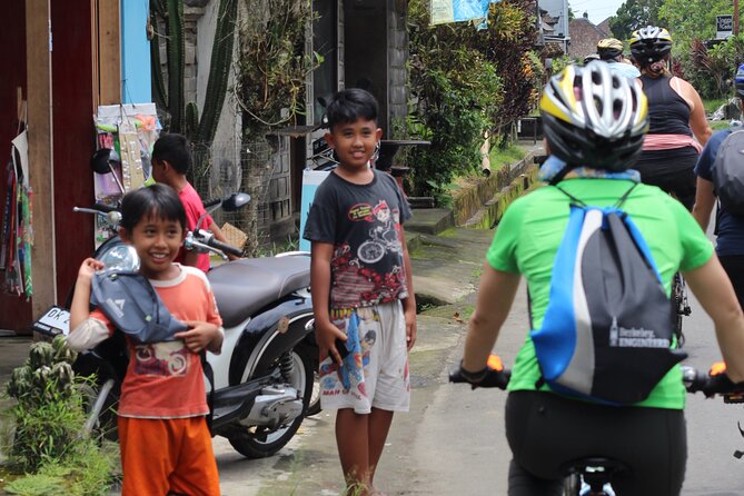 Downhill Cycling Ubud with Volcano, Rice Terrace and Educational - Mount Batur to the Ubud Countryside: The Big Idea That Works