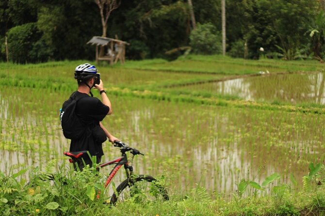 Downhill Cycling Ubud with Volcano, Rice Terrace and Educational - Price and Value: Why $25 Feels Like a Deal