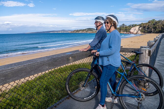 E-Bike Hire & Mountain Bike Hire Port of Eden - Weather and timing: why this is a good 4-hour Eden plan
