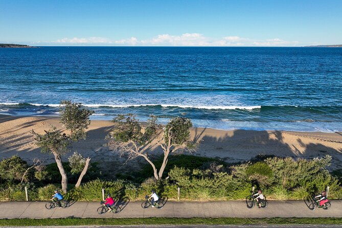 E-Bike Hire & Mountain Bike Hire Port of Eden - The conservation connection: $1 per booking for Clean Curalo