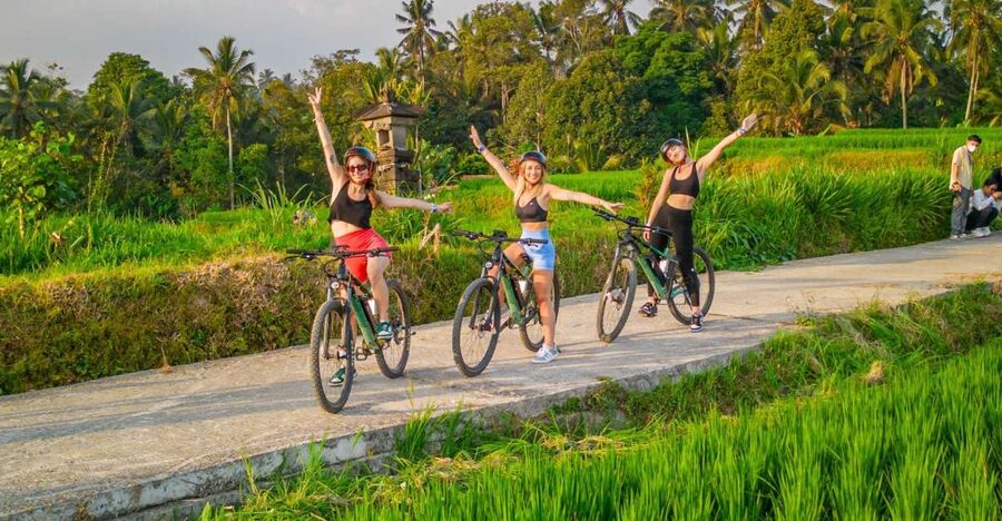 E-Bike: Ubud Rice Terraces & Traditional Villages Cycling - Why the E-bike works for Ubud’s rice paddies and villages