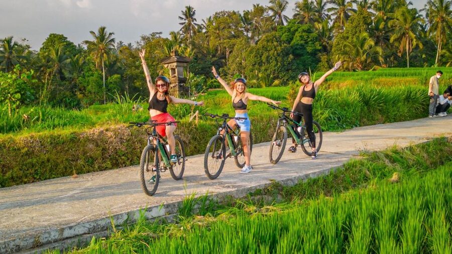 E-Bike: Ubud Rice Terraces & Traditional Villages Cycling - Tegallalang on two wheels: what you actually see and do