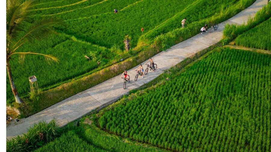 E-Bike: Ubud Rice Terraces & Traditional Villages Cycling - Price and value: is $25 fair for Ubud?