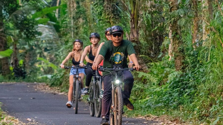 E-Bike: Ubud Rice Terraces & Traditional Villages Cycling - Pickup, drop-offs, and timing: how to avoid the usual headaches
