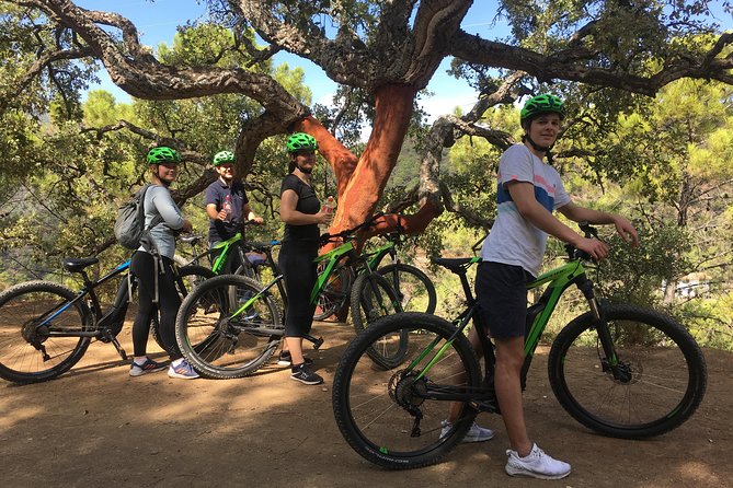 E-Mountain Bike Explorer Tour departing from Marbella - From city edges into the trails: the route rhythm