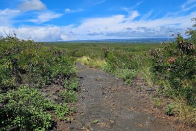 E-Mountain Bike Tour in South Point Hawaii - What you do on the Paiaha‘a Bay coastal ride