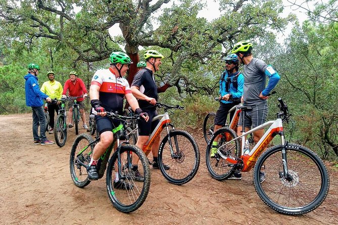 E-Mountain Bike & Wine Tour from Marbella to Sierra Blanca - Tapas and wine at the end: included, but not a full wine tasting