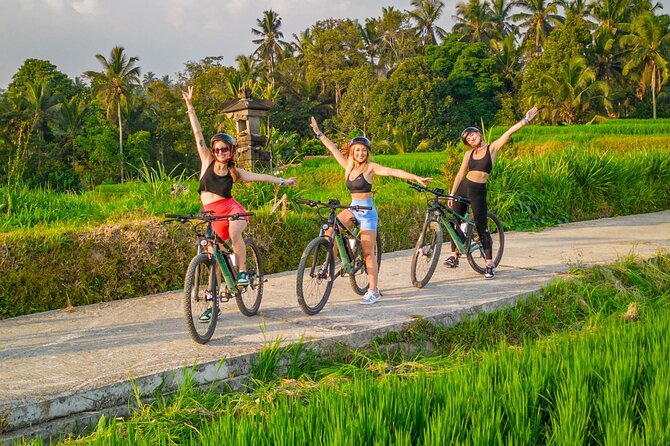 eBike Ubud Rice Terraces and Traditional Villages Cycling - Key highlights you’ll feel fast