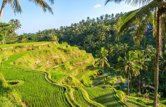 Electric Cycling Tour of Ubud with Free Hotel Transfer and Lunch - The Best Bits: What Makes This Ubud E-Bike Tour Worth Your Time