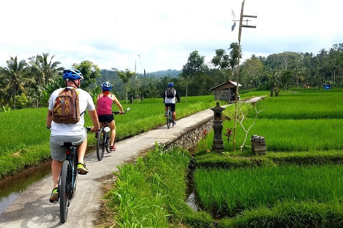 Electric Cycling Tour of Ubud with Free Hotel Transfer and Lunch - Meeting Point at eBikes Bali: Start Smooth, Then You’re Off