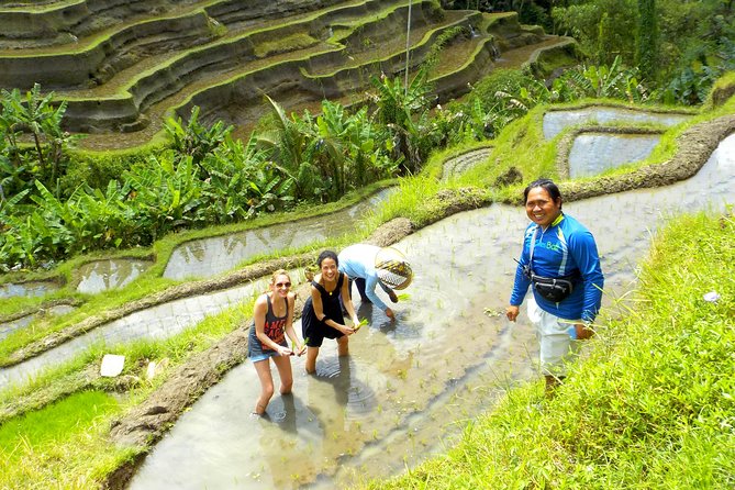 Electric Cycling Tour of Ubud with Free Hotel Transfer and Lunch - Ubud Jungle Swing: The Coffee Plantation Stop Behind the Fun