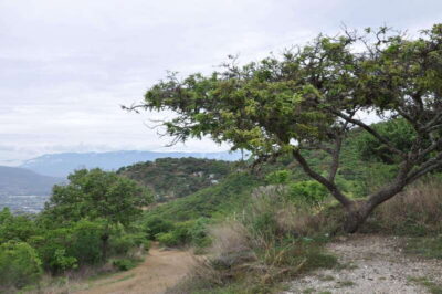 Electric Mountain bike in Oaxaca - Climb stage near San Felipe del Agua: views up, culture talk on the way