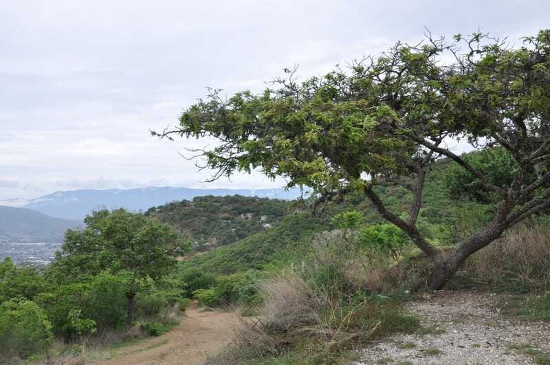 Electric Mountain bike in Oaxaca - Gerardo’s guiding style: how personalization turns a trail ride into a real experience