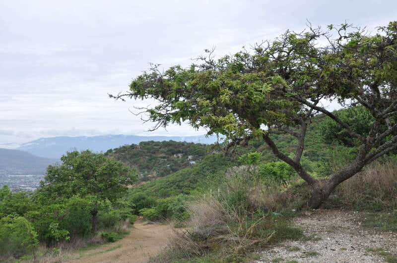 Electric Mountain bike in Oaxaca - Climb stage near San Felipe del Agua: views up, culture talk on the way