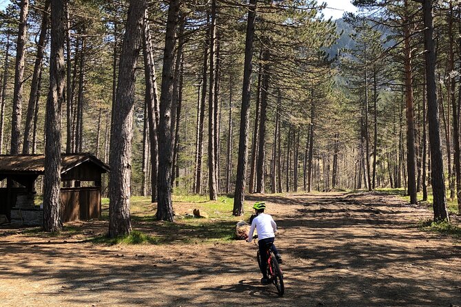 Electric Mountain Bike Rental in Bobbio - Key highlights worth caring about