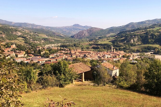 Electric Mountain Bike Rental in Bobbio - Price and value: what $75.19 per group really buys you