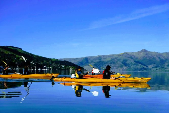 Electric Mountain Bike & Sea Kayak Tour in Akaroa - Electric bike up the crater, kayak the marine reserve: the combo that earns its keep