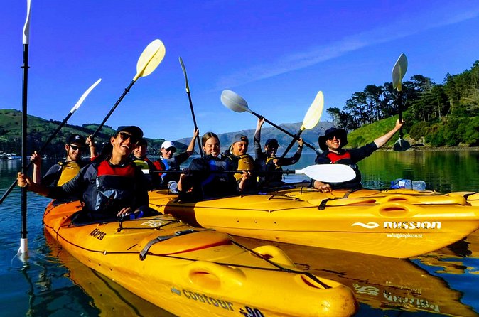Electric Mountain Bike & Sea Kayak Tour in Akaroa - Sea kayaking in the marine reserve: turquoise water, birds, and Jack’s calm coaching
