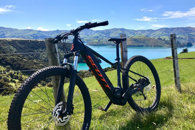 Electric Mountain Bike & Sea Kayak Tour in Akaroa - Small groups and local guides: the difference between a tour and a lesson