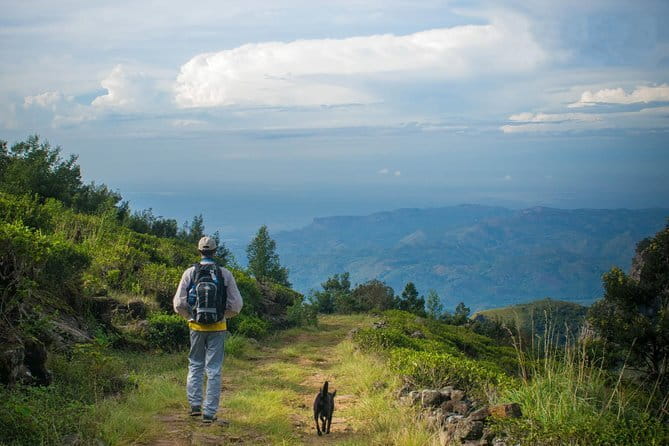 Ella Cycling Experience in Ella - Little Adam’s Peak: The View Stop With a Sharp Drop