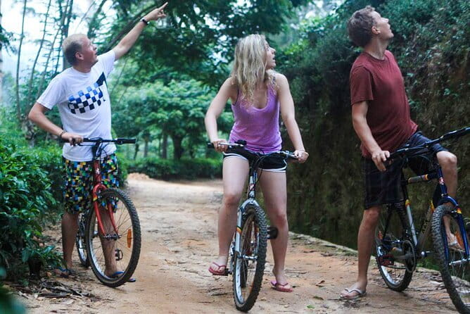 Ella Cycling Experience in Ella - Price and Value: Is $50 Worth It?