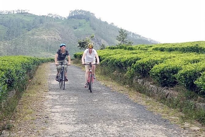 Ella Cycling Tour - Why Ella cycling fits a 5-hour schedule so well