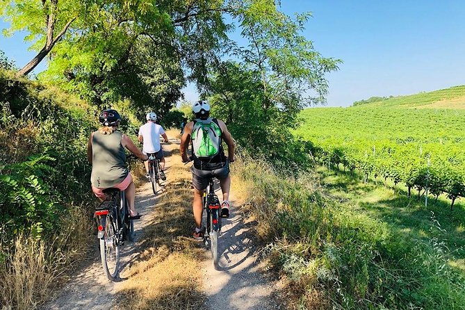 Enjoy a Wine Tasting after a cycling excursion in the magic of Tuscany - Key Highlights You’ll Care About