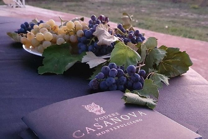 Enjoy a Wine Tasting after a cycling excursion in the magic of Tuscany - Montepulciano Wine on Two Wheels: The Big Idea