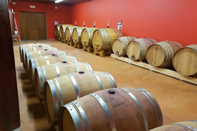 Enjoy a Wine Tasting after a cycling excursion in the magic of Tuscany - Price and E-Bike Upgrade: Getting Value for Your Money