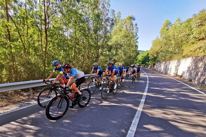 Etna Bike Tour - Cycling in Sicily - The downhill moment: when your legs stop working and your focus switches