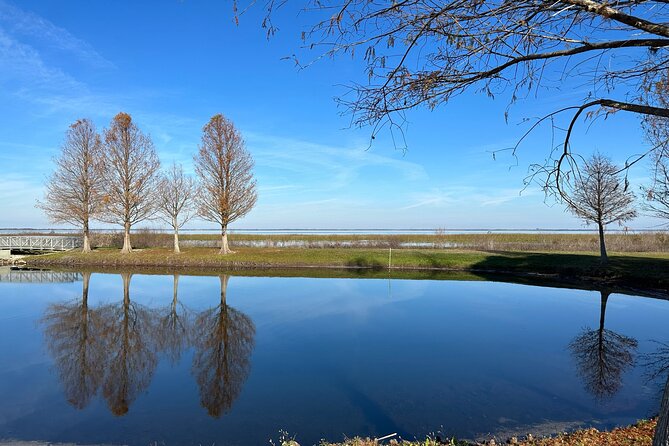 Experience Kissimmee Lakefront Mountain Bike Tour (2 Hours) - Price and value: getting a guided nature break for $39
