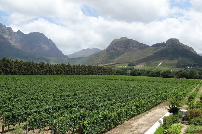 Franschhoek Half Day Winelands Mountain Bike Tour - Franschhoek Winelands by Mountain Bike: a fun way to see the valley