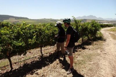Franschhoek Half Day Winelands Mountain Bike Tour - Stop 1 at Rickety Bridge: hillside views and a cellar tour