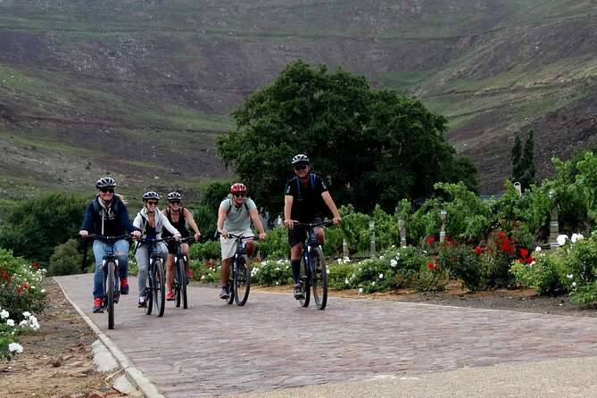Franschhoek Half Day Winelands Mountain Bike Tour - Wine Pairing Lesson: chocolate and biltong with local wines