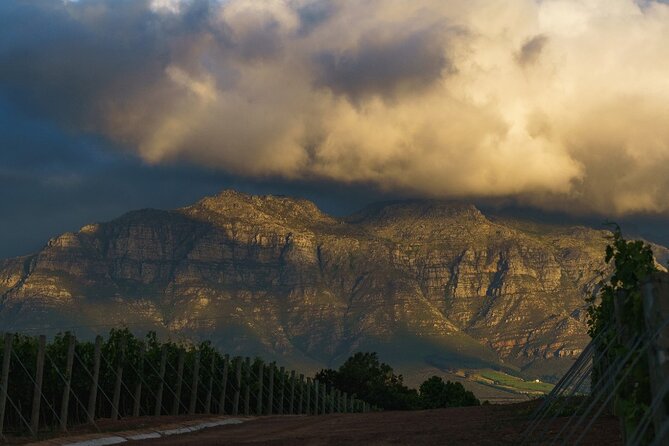 Franschhoek Half Day Winelands Mountain Bike Tour - What’s Included (and what you’ll need to budget for)