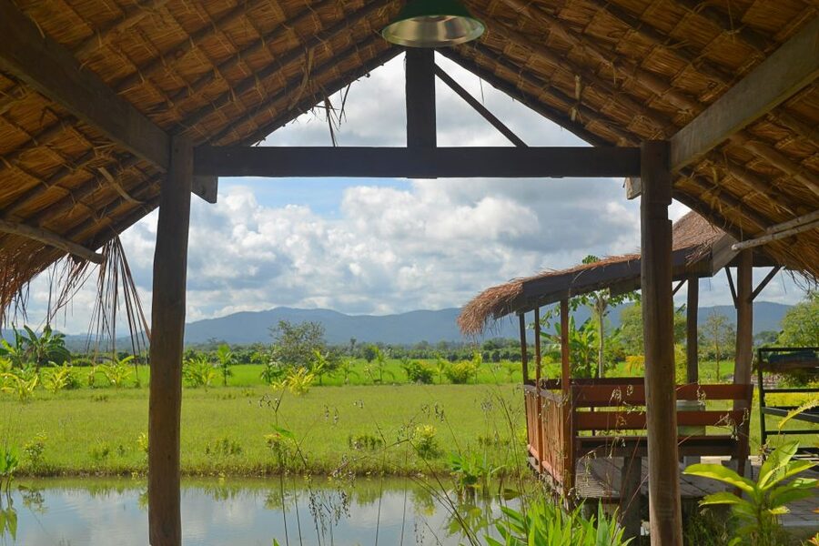From Chiang Mai: Mae Taeng Valley and Waterfalls Cycle Tour - Cycling through rice fields: the valley you actually get to see