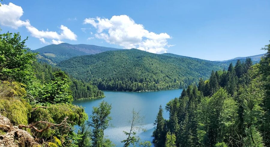 From Cluj: Mountain Bike around Lake Dragan - Mountain biking Lake Dragan: why this route feels special