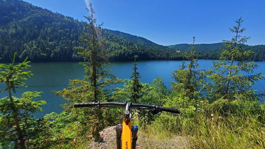 From Cluj: Mountain Bike around Lake Dragan - Price and value: what $163 buys you here