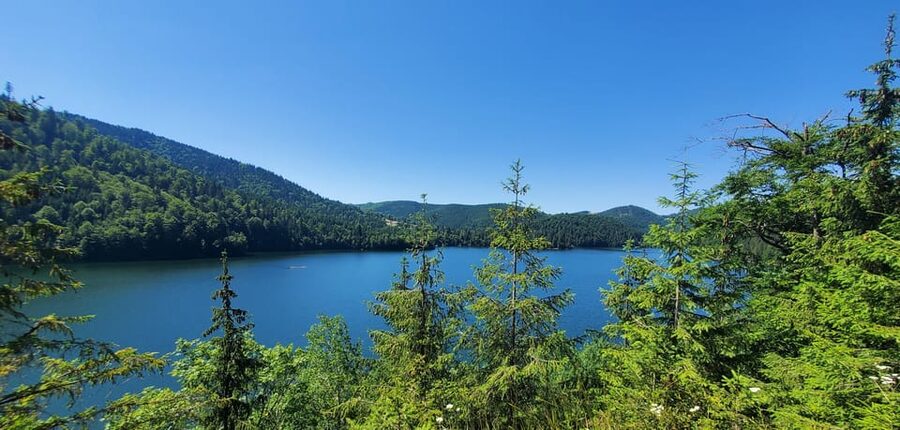 From Cluj: Mountain Bike around Lake Dragan - Who should book this Lake Dragan bike tour