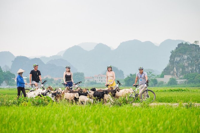 From Hanoi: Hoa Lu - Tam Coc boating - Cycling & Mua Cave visit - Key things to know before you go