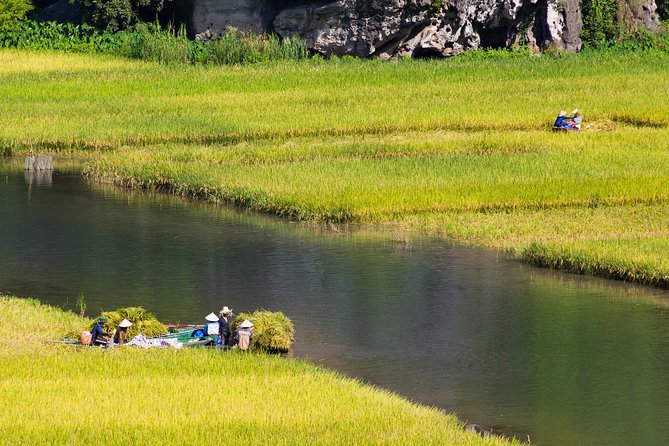 From Hanoi: Hoa Lu - Tam Coc boating - Cycling & Mua Cave visit - Stop 5: Mua Cave and the Ngoạ Long mountain 500 steps