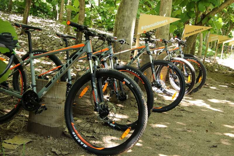 From Puerto Vallarta: Jungle Mountain Bike Tour - Sierra de Vallejo by Bike: The Part You’ll Remember