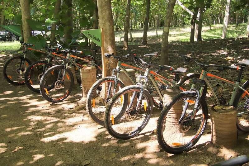 From Puerto Vallarta: Jungle Mountain Bike Tour - Local Flavor Moment: Tequila and Food After the Ride