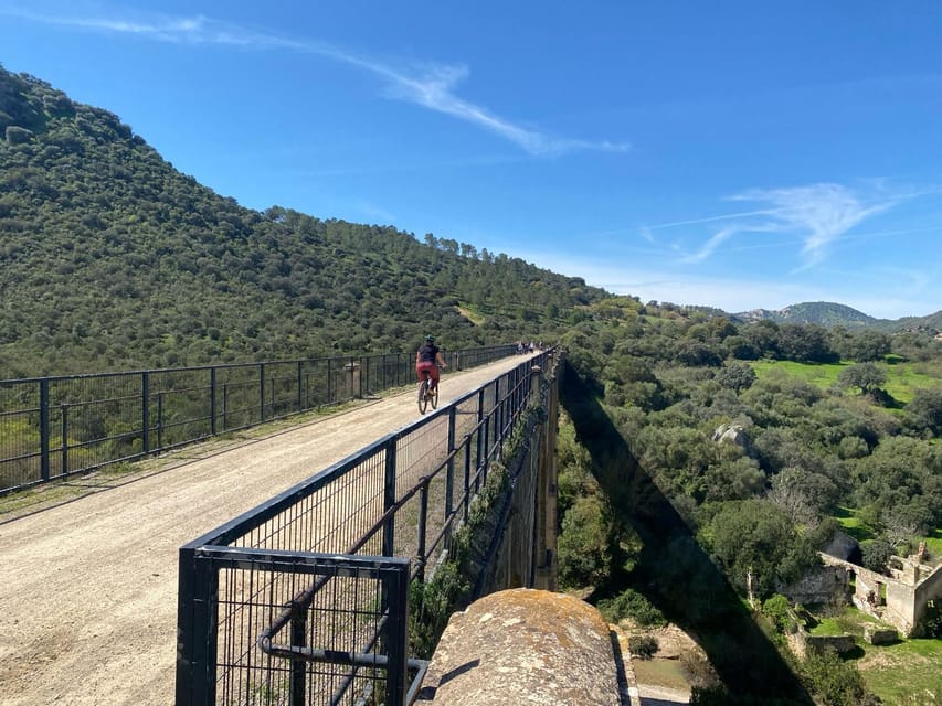 From Ronda: Via Verde de la Sierra Easy Cycling Tour - Who This Is For (and Who Should Skip It)