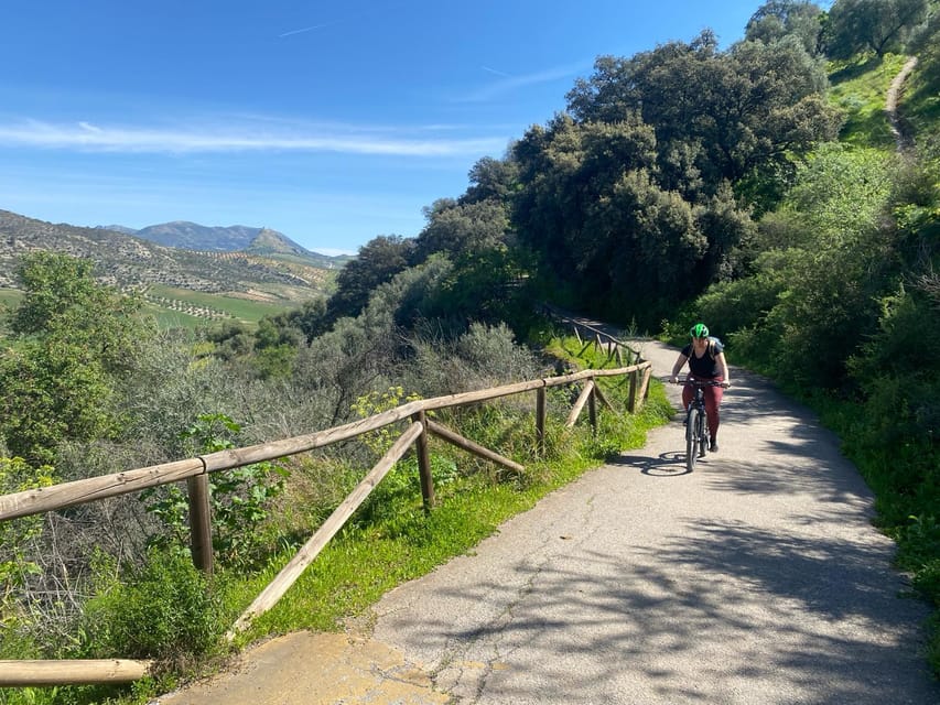 From Ronda: Via Verde de la Sierra Easy Cycling Tour - Old Stations, Service Stops, and a Break That’s Built In